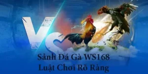 Bí Kíp Chơi Đá Gà WS168 Tại 6FF Thu Về Lợi Nhuận Khủng
