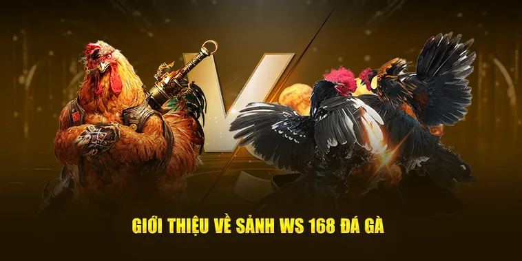 Bí Kíp Chơi Đá Gà WS168 Tại 6FF Thu Về Lợi Nhuận Khủng