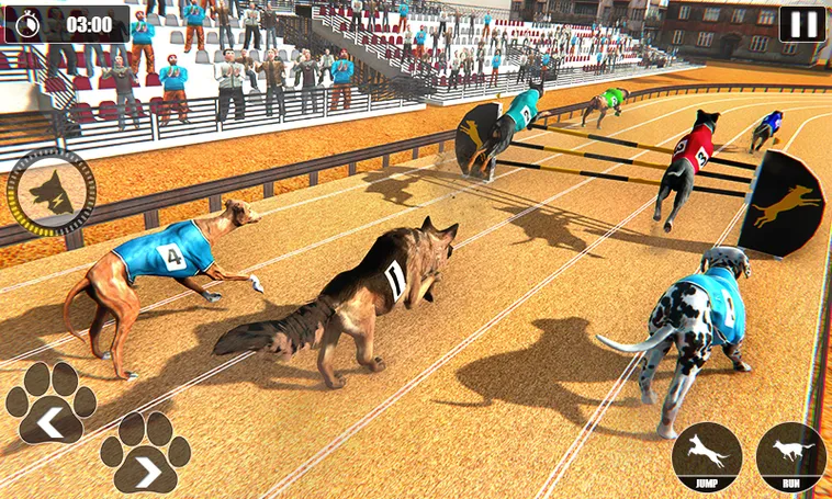 Cách Chơi Game Nhanh Đua Chó Tại 6FF Thắng Lớn Mỗi Ngày