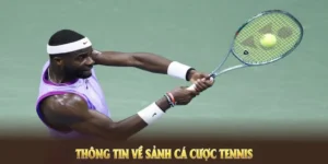 Tuyệt Chiêu Cá Cược Quần Vợt 6FF Giúp Bạn Làm Chủ Mọi Giải Đấu Lớn