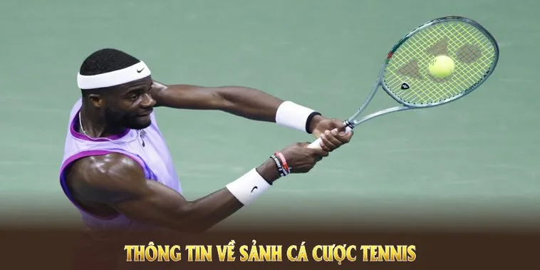 Tuyệt Chiêu Cá Cược Quần Vợt 6FF Giúp Bạn Làm Chủ Mọi Giải Đấu Lớn